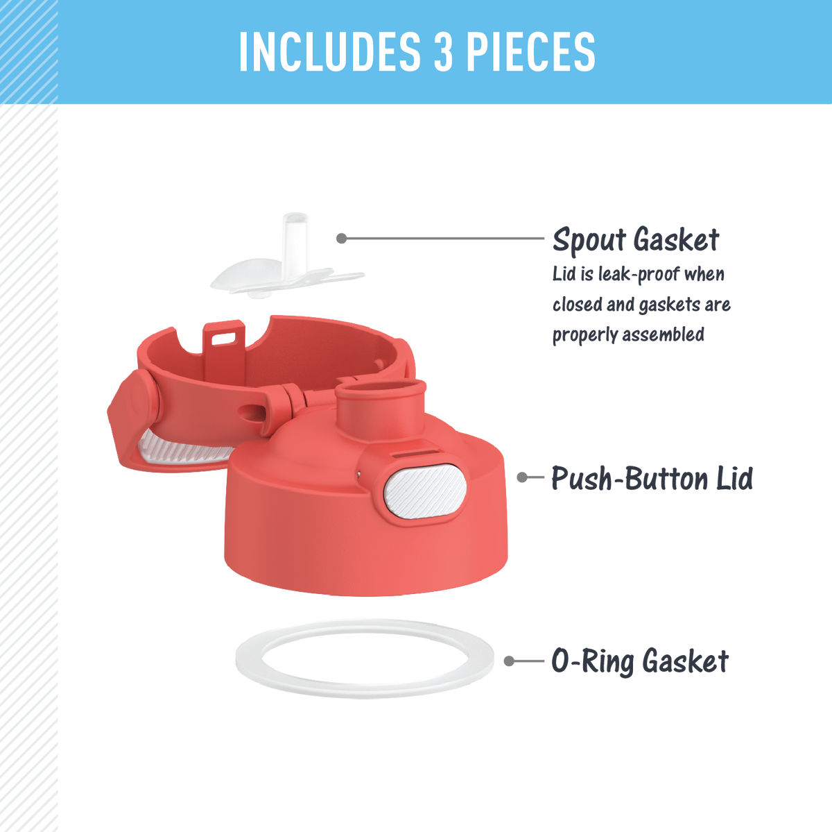 FUNTAINER® WATER BOTTLE - REPLACEMENT SPOUT LID